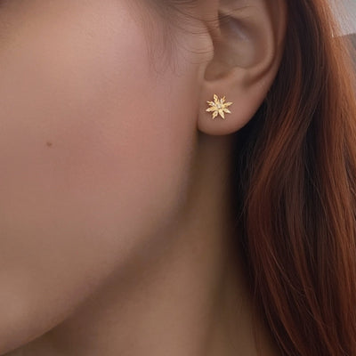 Frostlight Stud Earrings - The Jazzy Owl